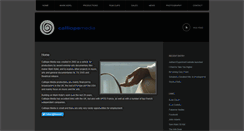 Desktop Screenshot of calliopemedia.co.uk